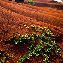 12月12日最终决战《妖精的尾巴2》公布OP动画